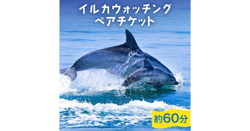 【ふるさと納税】南島原 イルカウォッチング ペア チケット / イルカ 観光 体験 / 南島原市 / 南島原イルカウォッチング [SAE001]