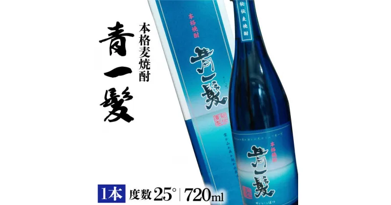 【ふるさと納税】【10/28値上げ予定】本格 麦焼酎 青一髪 25° 720ml 1本 化粧箱入 / 焼酎 酒 お酒 ギフト プレゼント 贈り物 / 南島原市 / 久保酒造場 [SAY003]