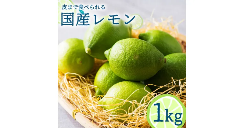 【ふるさと納税】【2024年10月～発送】国産 レモン 1kg / 檸檬 果物 フルーツ 柑橘 / 南島原市 / 長崎県農産品流通合同会社 [SCB016]