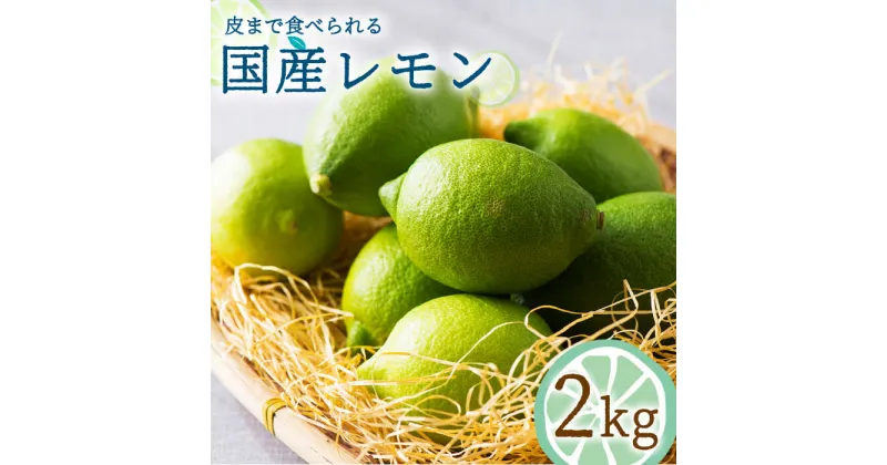 【ふるさと納税】【2024年10月～発送】国産 レモン 2kg フルーツ 柑橘 / 南島原市 / 長崎県農産品流通合同会社 [SCB017]