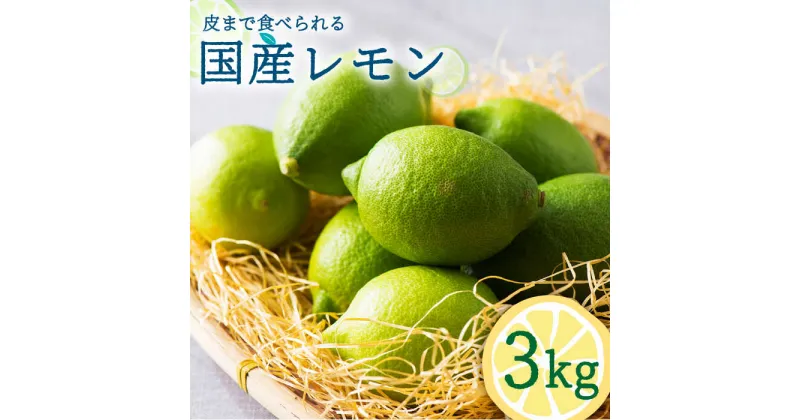 【ふるさと納税】【2024年10月～発送】国産 レモン 3kg / フルーツ 果物 檸檬 / 南島原市 / 長崎県農産品流通合同会社 [SCB035]