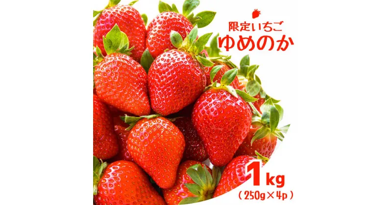 【ふるさと納税】【2025年1月～発送】【限定 いちご】 ゆめのか 1kg（250g×4p）イチゴ 苺 フルーツ 南島原市 / 長崎県農産品流通合同会社 [SCB040]