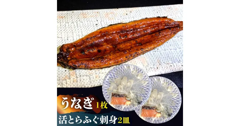 【ふるさと納税】【10/28値上げ予定】【贅を尽くす！】活 とらふぐ 刺身 (2皿) うなぎ 蒲焼き (1枚) 贅沢 セット / ふぐ 河豚 フグ トラフグ ふぐ刺し うなぎ 鰻 / 南島原市 / はなぶさ [SCN032]