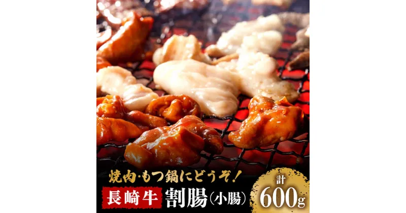 【ふるさと納税】【10/28値上げ予定】長崎牛 割腸 (小腸) 焼肉・ホルモン鍋 用 600g / ホルモン 牛肉 もつ鍋 南島原市 / はなぶさ [SCN060]