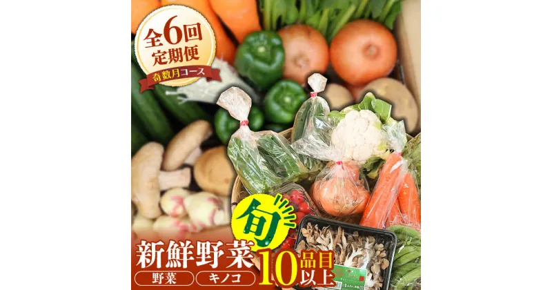 【ふるさと納税】【10/28値上げ予定】【奇数月6回定期便】野菜・きのこをセット 10品目以上 / 野菜 やさい きのこ キノコ 詰め合わせ セット 定期便 野菜定期便 きのこ定期便 / 南島原市 / 吉岡青果 [SCZ005]