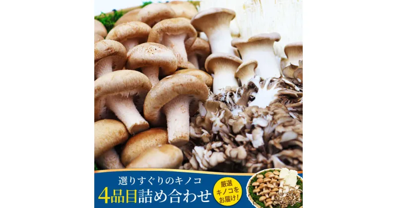 【ふるさと納税】【10/28値上げ予定】 南島原産厳選きのこセット 4品目詰め合わせ / 詰め合わせ きのこ キノコ 茸 きのこセット / 南島原市 / 吉岡青果 [SCZ013]