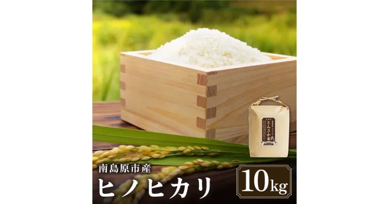 【ふるさと納税】【10/28値上げ予定】【南島原市産ヒノヒカリ】とんさか米 10kg / 米 ヒノヒカリ / 南島原市 / 林田米穀店 [SCO001] ブランド米 長崎