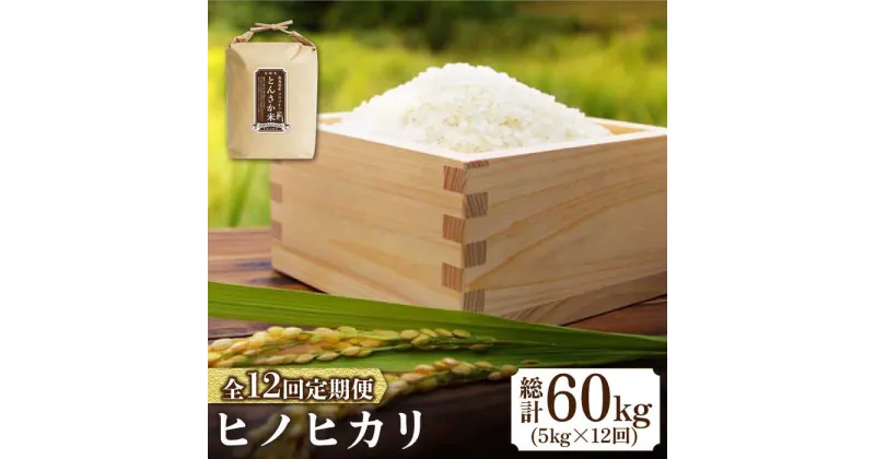 【ふるさと納税】【10/28値上げ予定】【南島原市産 ヒノヒカリ 】とんさか米 5kg×12回 定期便 / 米 ヒノヒカリ / 南島原市 / 林田米穀店 [SCO003] ブランド米 長崎