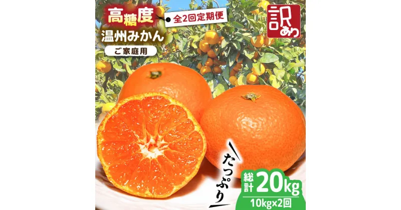 【ふるさと納税】【10/28値上げ予定】【2024年12月〜発送】【2回定期便】高糖度温州みかん約10kg（傷もの）計約20kg / みかん 訳あり 定期便 ミカン 蜜柑 糖度 果物 くだもの 果物定期便 フルーツ ふるーつ フルーツ定期便 家庭用 10kg / 南島原 / 南島原果物屋 [SCV016]