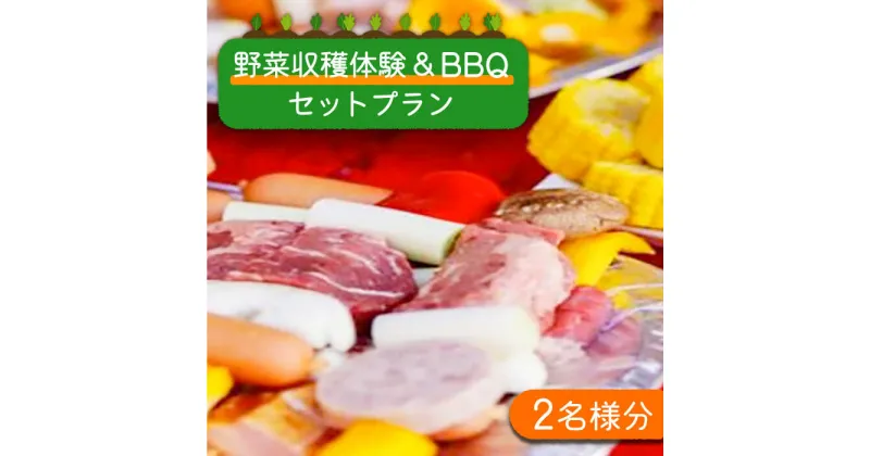 【ふるさと納税】野菜 収穫 体験 と BBQ セット プラン (2名様分) / 南島原市 / ミナサポ [SCW016] バーベキュー 焼肉 カップル