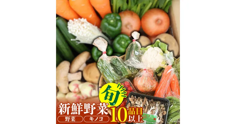 【ふるさと納税】新鮮野菜・キノコ 10品目以上詰め合わせ / 野菜 やさい きのこ キノコ 詰め合わせ セット 野菜セット きのこセット / 吉岡青果 / 南島原市 [SCZ004]