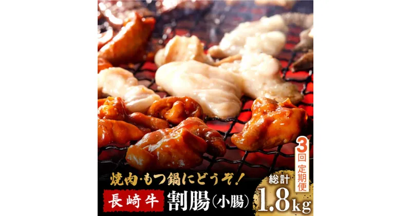 【ふるさと納税】【10/28値上げ予定】【3回定期便】長崎牛 割腸 (小腸) 焼肉・ホルモン鍋 用 600g / ホルモン 牛 もつ鍋 南島原市 / はなぶさ [SCN115]