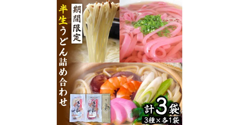 【ふるさと納税】【期間限定！】先行予約 半生うどん 2人前×2種・細うどん 200g/ うどん ウドン 乾麺 梅 詰め合わせ / 南島原市 / ふるせ [SAQ013]