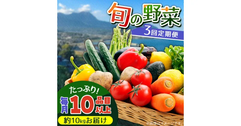 【ふるさと納税】【10/28値上げ予定】【3回定期便】地元の農家さんが収穫した旬のお野菜 詰め合わせセット 約10kg（10品目以上）/ 南島原市 / ミナサポ [SCW045]野菜 詰め合わせ セット