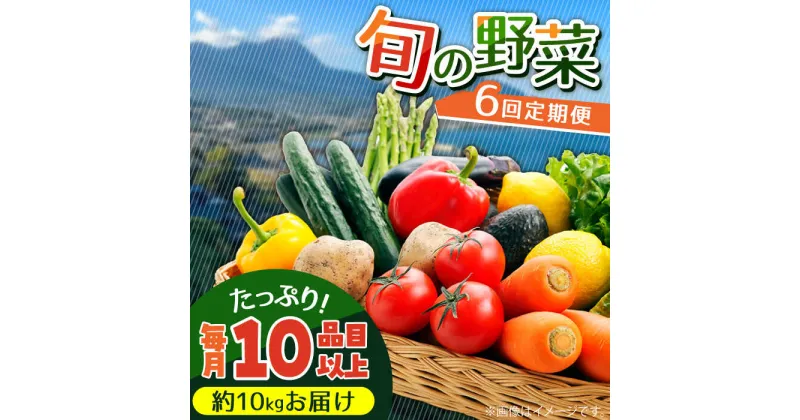 【ふるさと納税】【10/28値上げ予定】【6回定期便】地元の農家さんが収穫した旬のお野菜 詰め合わせセット 約10kg（10品目以上）/ 南島原市 / ミナサポ [SCW046]野菜 詰め合わせ セット