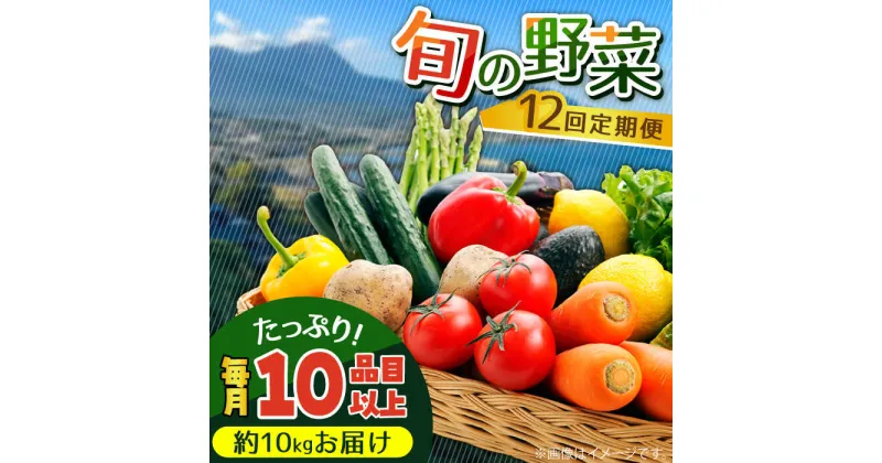 【ふるさと納税】【10/28値上げ予定】【12回定期便】地元の農家さんが収穫した旬のお野菜詰め合わせセット 約10kg（10品目以上） / 野菜 やさい 旬 季節 詰め合わせ セット 定期便 野菜定期便 / 南島原市 / ミナサポ [SCW047]