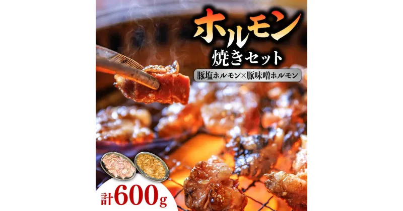 【ふるさと納税】【10/28値上げ予定】ホルモン 塩焼き・ニンニク味噌焼きセット 計600g (300g×2種) / 肉 豚肉 直腸 豚テッポウ 希少部位 国産 / 南島原市 / はなぶさ [SCN136]