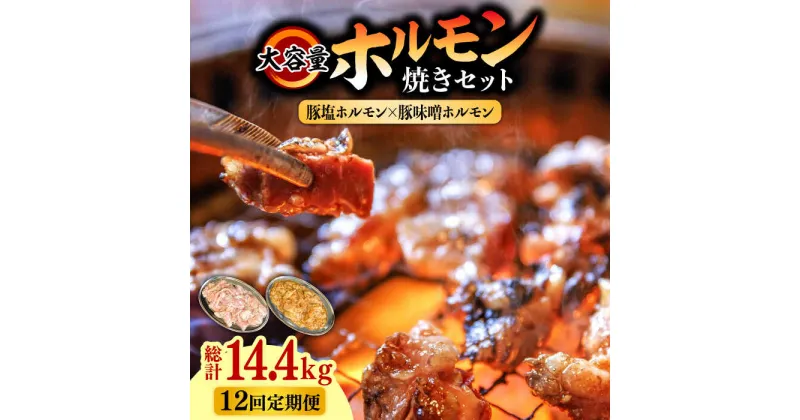 【ふるさと納税】【10/28値上げ予定】【12回 定期便 】 ホルモン 塩焼き・ニンニク味噌焼きセット 大容量セット 総計14.4kg / 肉 豚肉 直腸 豚テッポウ 希少部位 国産 / 南島原市 / はなぶさ [SCN143]