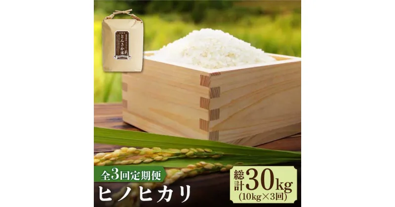 【ふるさと納税】【10/28値上げ予定】【南島原市産ヒノヒカリ】とんさか米 10kg×3回 定期便 / 米 ヒノヒカリ / 南島原市 / 林田米穀店 [SCO006]