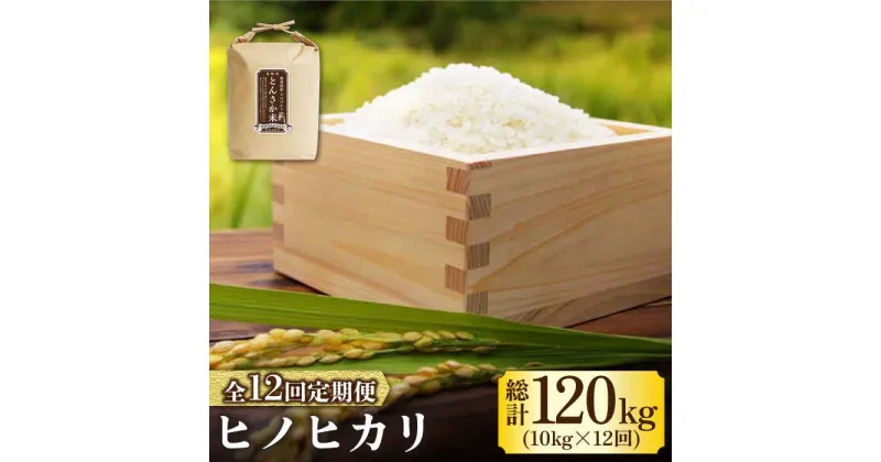 【ふるさと納税】【10/28値上げ予定】【南島原市産ヒノヒカリ】とんさか米 10kg×12回 定期便 / 米 ヒノヒカリ / 南島原市 / 林田米穀店 [SCO007]