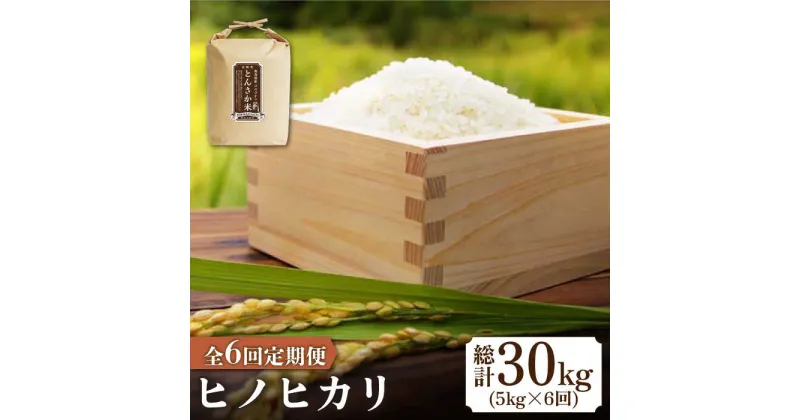 【ふるさと納税】【10/28値上げ予定】【南島原市産ヒノヒカリ】とんさか米 5kg×6回 定期便 / 米 ヒノヒカリ / 南島原市 / 林田米穀店 [SCO009]