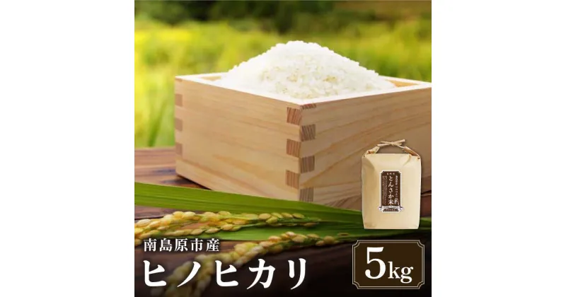 【ふるさと納税】【10/28値上げ予定】【南島原市産ヒノヒカリ】とんさか米 5kg / 米 ヒノヒカリ / 南島原市 / 林田米穀店 [SCO011]