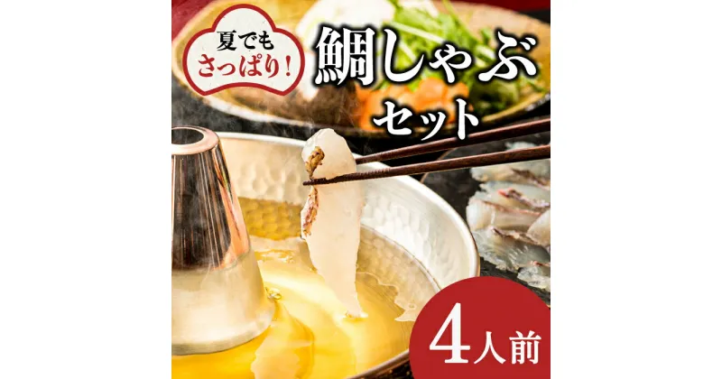 【ふるさと納税】【10/28値上げ予定】【指定日必須】【よかタイ南島原！】鯛しゃぶ セット 4人前 / 鯛 真鯛 しゃぶしゃぶ 鍋 / 南島原市 / 大和 [SCJ023]