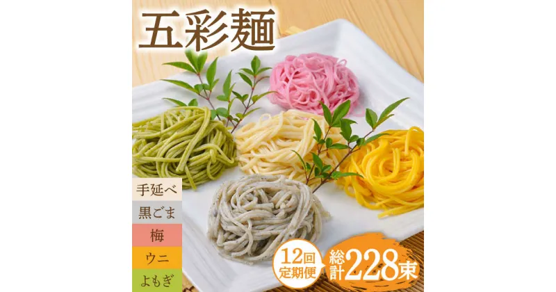 【ふるさと納税】【10/28値上げ予定】【12回定期便】五彩麺 セット（19束）/ そうめん 素麺 黒ごま 梅 うに よもぎ / 麺 乾麺 食べ比べ 詰め合わせ カラフル / 南島原市 / のうち製麺 [SAF032]