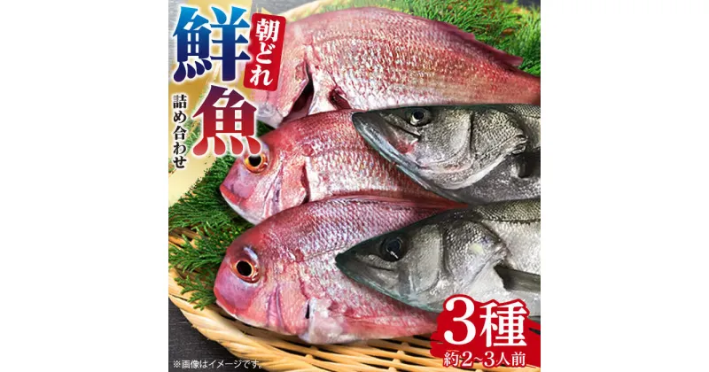 【ふるさと納税】【10/28値上げ予定】朝どれ 鮮魚 詰め合わせ 3種（2〜3人前） 下処理 あり / アジ アラカブ タイ カワハギ など 魚 新鮮 セット 冷蔵 産地直送 下処理済み / 南島原市 / 美吉屋 [SDW003]