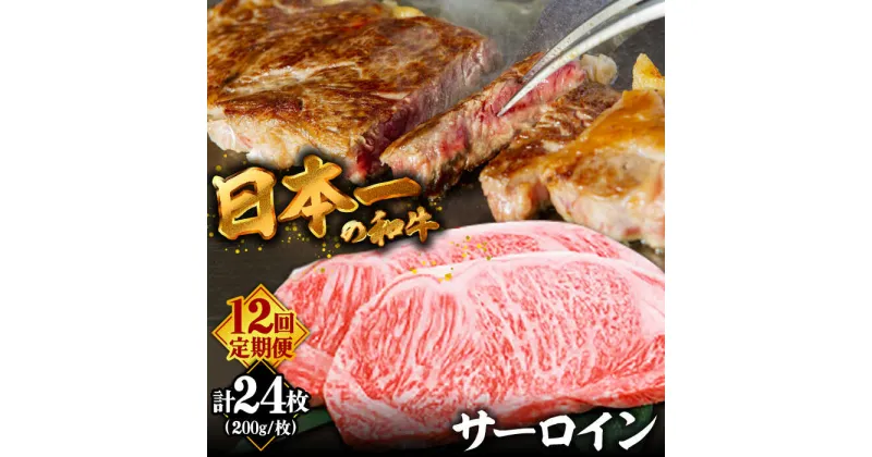 【ふるさと納税】【10/28値上げ予定】【12回定期便】＜やわらかな赤身と口どけまろやかな脂身＞ 長崎和牛 サーロインステーキ 2人前（200g×2枚）/ 牛肉 ステーキ 長崎産 サーロイン / 南島原市 / ふるさと企画 [SBA034]