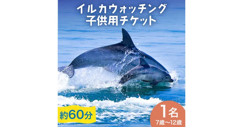 【ふるさと納税】南島原 イルカウォッチング 子ども用 1人用 チケット / イルカ 観光 南島原市 / 南島原イルカウォッチング[SAE003]