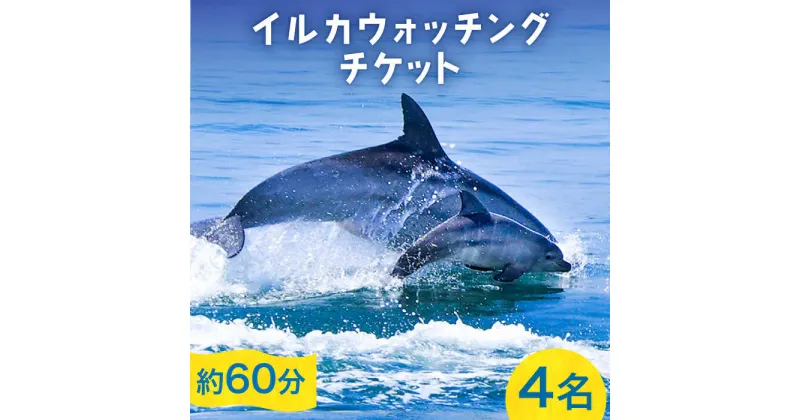 【ふるさと納税】南島原 イルカウォッチング 4人用チケット / イルカ 観光 南島原市 / 南島原イルカウォッチング[SAE002]