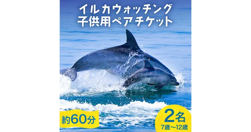 【ふるさと納税】南島原 イルカウォッチング 子ども用 ペアチケット / イルカ 観光 南島原市 / 南島原イルカウォッチング[SAE004]