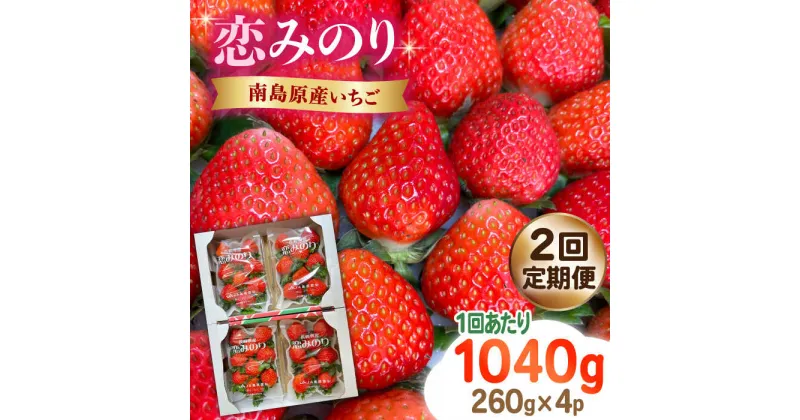 【ふるさと納税】【10/28値上げ予定】【2025年3月〜発送】【2回定期便】南島原産 いちご 「恋みのり」約260g×4P / イチゴ 苺 フルーツ 果物 / 南島原市 / あゆみfarm[SFF002]