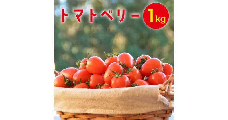 【ふるさと納税】【10/28値上げ予定】【2024年12月〜発送】トマトベリー 1kg / トマト 野菜 サラダ ミニトマト プチトマト / 南島原市 / 長崎県農産品流通合同会社 [SCB029]