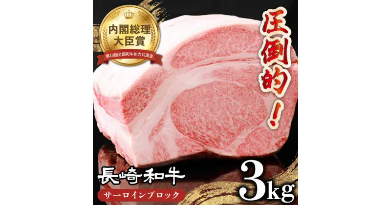 【ふるさと納税】【内閣総理大臣賞受賞】長崎和牛 サーロインブロック 約3kg / 冷凍 ステーキ肉 サーロインステーキ / 南島原市 / 島原雲仙農業協同組合 [SES001]