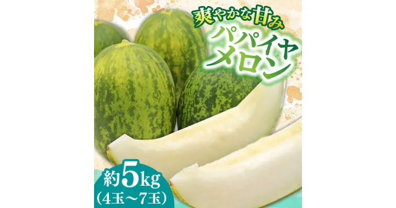 【ふるさと納税】【10/28値上げ予定】【2025年4月〜発送】【いくらでも食べたくなるさっぱりとした甘さ！】南島原名産 パパイヤメロン 約5kg 4玉〜7玉 / 南島原市 / 贅沢宝庫[SDZ034]