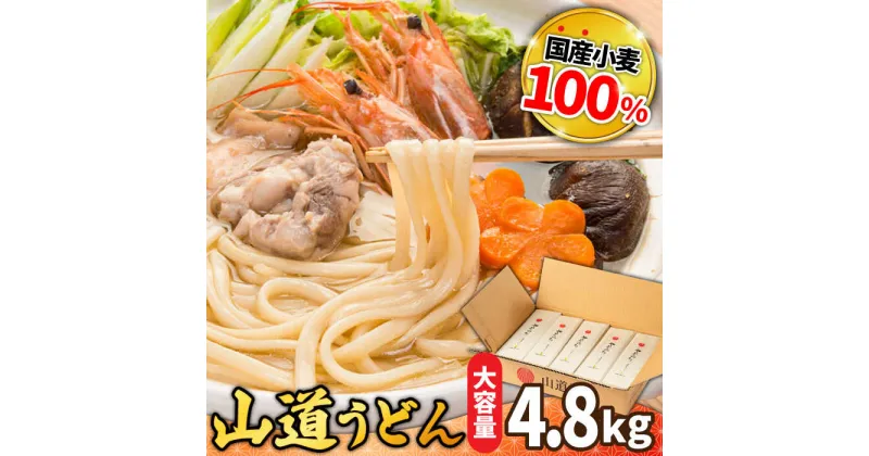 【ふるさと納税】【10/28値上げ予定】島原 手延べうどん 山道うどん 国産小麦100％ 160g×30袋 4.8kg / 麺 乾麺 うどん / 南島原市/ そうめんの山道[SDC011]