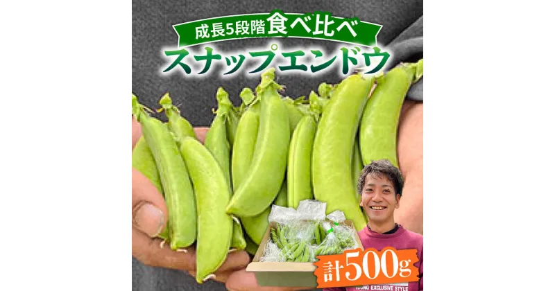 【ふるさと納税】【10/28値上げ予定】【2025年1月〜発送】スナップエンドウ サイズ違い 食べ比べセット 100g × 5袋 / 小分け / 南島原市[SFL001]