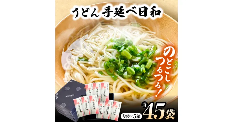 【ふるさと納税】【10/28値上げ予定】手延べ日和 うどん 250g×9袋 5箱セット / 乾麺 麺 手延べうどん / 南島原市 / 舘製麺所[SCE007]