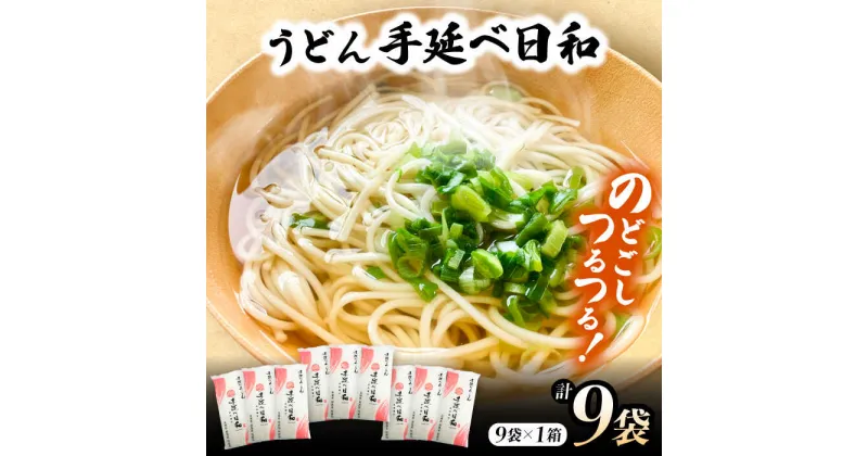 【ふるさと納税】【10/28値上げ予定】手延べ日和 うどん 250g×9袋 / 乾麺 麺 手延べうどん / 南島原市 / 舘製麺所[SCE009]