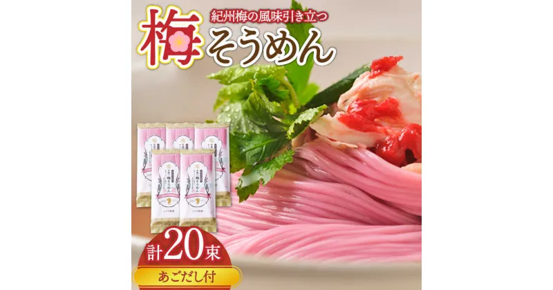 【ふるさと納税】【10/28値上げ予定】手延べ梅そうめんセット あごだしスープ付き 1.1kg / そうめん 素麺 麺 乾麺 梅 うめ ウメ / 南島原市 / のうち製麺[SAF043]