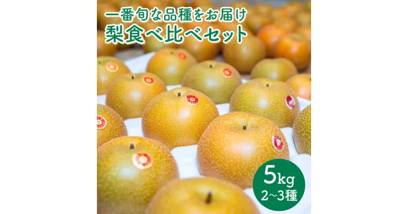 【ふるさと納税】【10/28値上げ予定】【2025年8月下旬〜発送】梨 2種以上 食べ比べ セット 5kg / 豊水 秋麗 菊水 あきづき / なし フルーツ 果物 / 南島原市 / 松尾観光梨園 [SCX001]