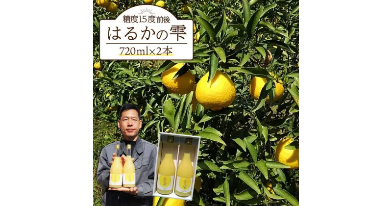 【ふるさと納税】【糖度15度前後】はるかの雫（720ml×2本）長与町/岩永農園 [EAZ001]