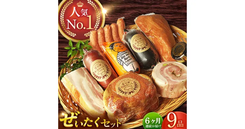 【ふるさと納税】【国際大会金賞】【毎月9点×6回定期便】ぜいたくセット 毎月9品（計54品） / 無添加ロースハム 無添加ボンレスハム 無添加ベーコン ビアシンケン リオナ ベリーロールブロック ヤークトヴルスト スモークウィンナー 長与町/雪の浦手造りハム [EAM030]