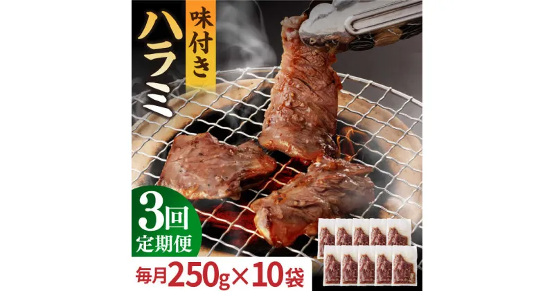 【ふるさと納税】【全3回定期便】【塩だれ】九州産 和牛 ハラミ 2.5kg（250g×10袋） 長与町/岩永ホルモン [EAX089] ハラミ はらみ 国産 焼肉 肉 国産 こくさん サガリ 小分け 味付き 冷凍 焼き肉 やきにく 九州 定期便