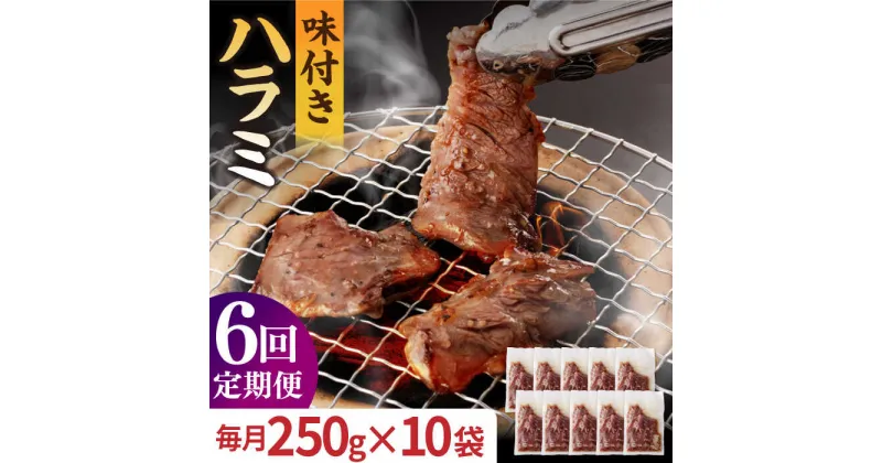 【ふるさと納税】【全6回定期便】【塩だれ】九州産 和牛 ハラミ 2.5kg（250g×10袋） 長与町/岩永ホルモン [EAX090] ハラミ はらみ 国産 焼肉 肉 国産 こくさん サガリ 小分け 味付き 冷凍 焼き肉 やきにく 九州 定期便