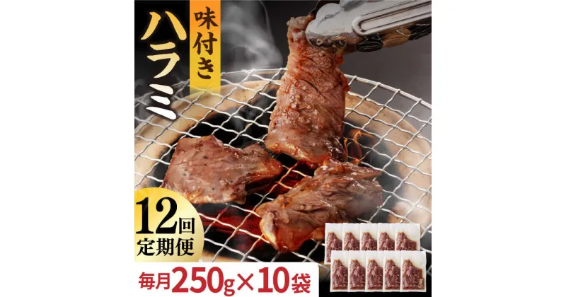 【ふるさと納税】【全12回定期便】【塩だれ】九州産 和牛 ハラミ 2.5kg（250g×10袋） 長与町/岩永ホルモン [EAX091] ハラミ はらみ 国産 焼肉 肉 国産 こくさん サガリ 小分け 味付き 冷凍 焼き肉 やきにく 九州 定期便