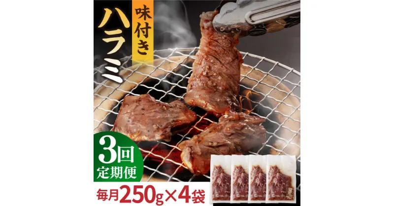 【ふるさと納税】【全3回定期便】【塩だれ】九州産 和牛 ハラミ 1kg（ 250g×4袋） 長与町/岩永ホルモン [EAX093] ハラミ はらみ 国産 焼肉 肉 国産 こくさん サガリ 小分け 味付き 冷凍 焼き肉 やきにく 九州 定期便 ていきびん