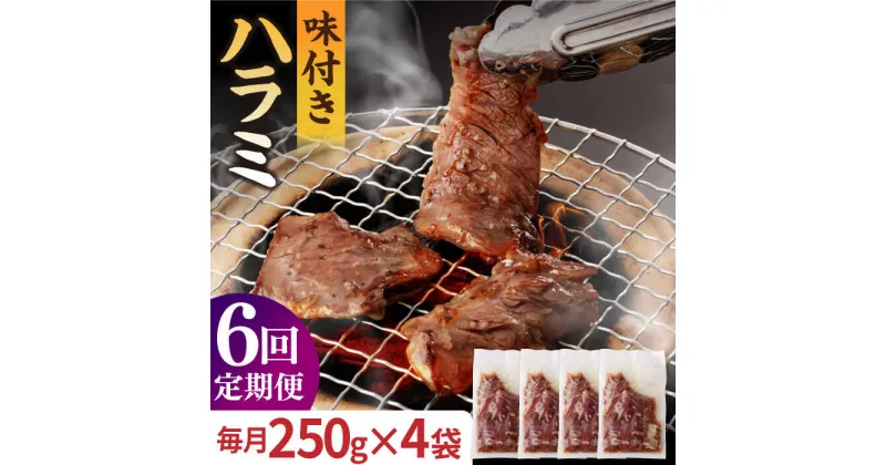 【ふるさと納税】【全6回定期便】【塩だれ】九州産 和牛 ハラミ 1kg（ 250g×4袋） 長与町/岩永ホルモン [EAX094] ハラミ はらみ 国産 焼肉 肉 国産 こくさん サガリ 小分け 味付き 冷凍 焼き肉 やきにく 九州 定期便 ていきびん